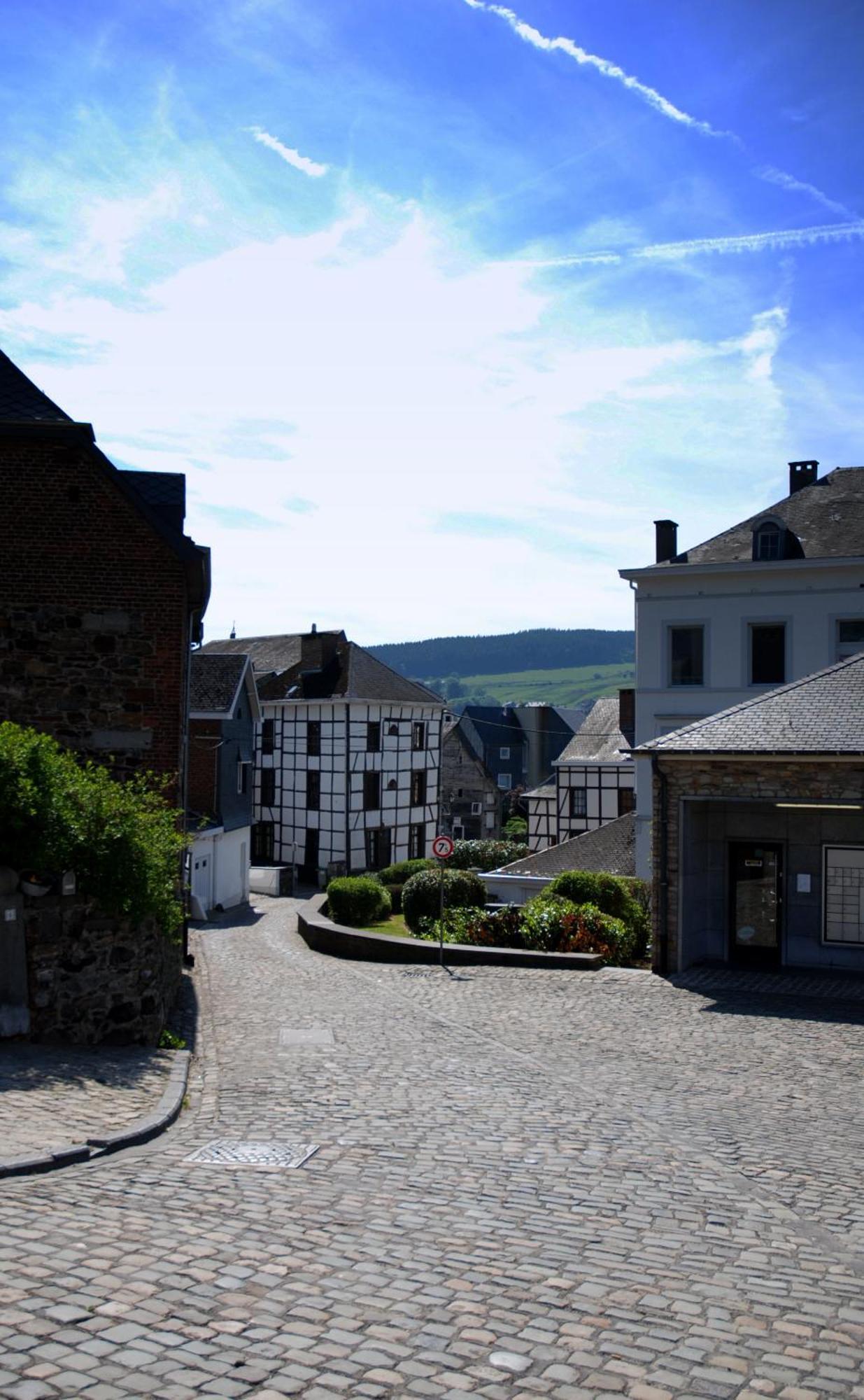 Villa Hottonruy 4 à Stavelot Extérieur photo